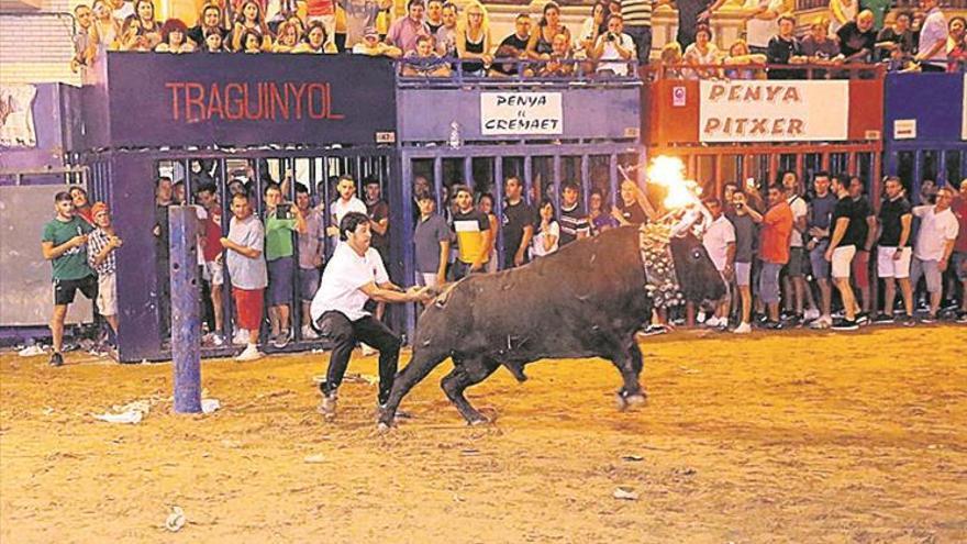 El Adolfo Martín, el mejor toro de fiestas del Cristo de l&#039;Alcora