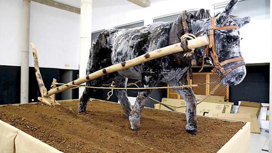 Valleseco va con burro a la romería del Pino.