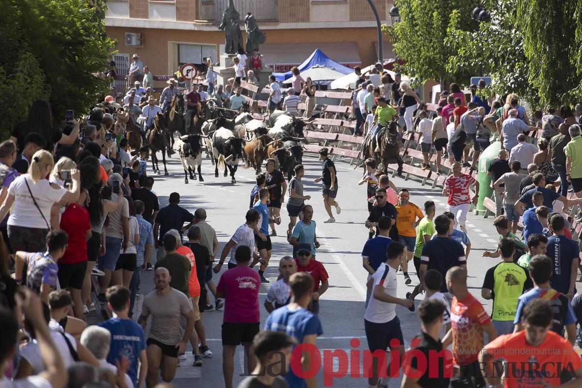 Sexto encierro de las Fiestas de Moratalla