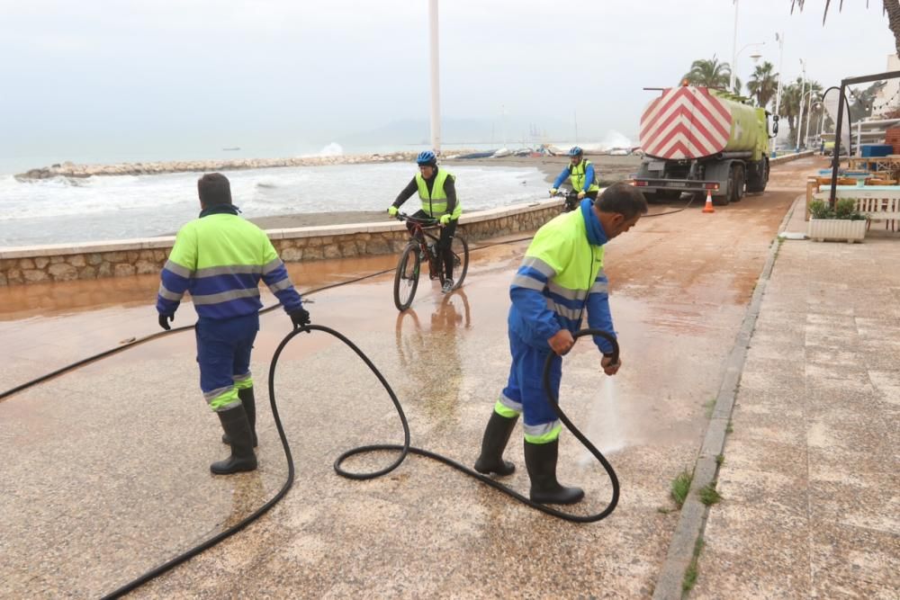 Operarios municipales trabajan limpiando y adecentando las calles y el paseo marítimo de Pedregalejo.