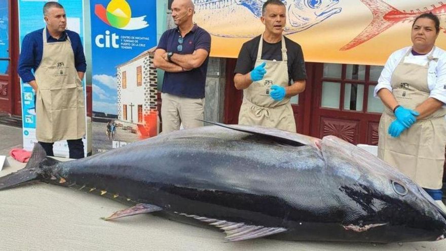 Tenerife analyzes seafood in July at the Meeting of the Seas