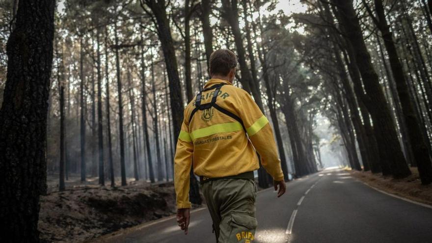 La estabilización del fuego en Tenerife permite el regreso a casa de 9.895 personas