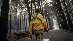 Un bombero trabaja en las labores de extinción del fuego de Tenerife.