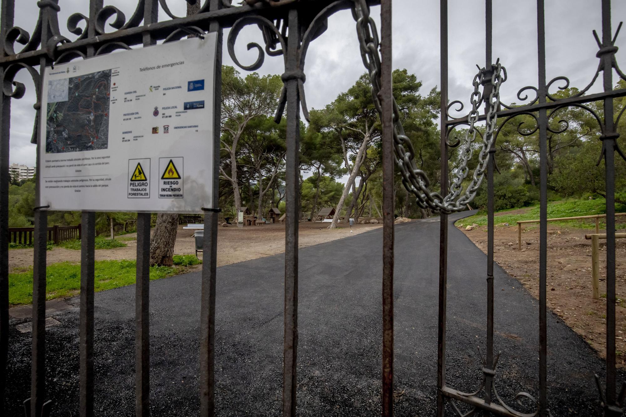 Las fotos del asfaltado del bosque de Bellver que indigna a ciudadanos y ecologistas