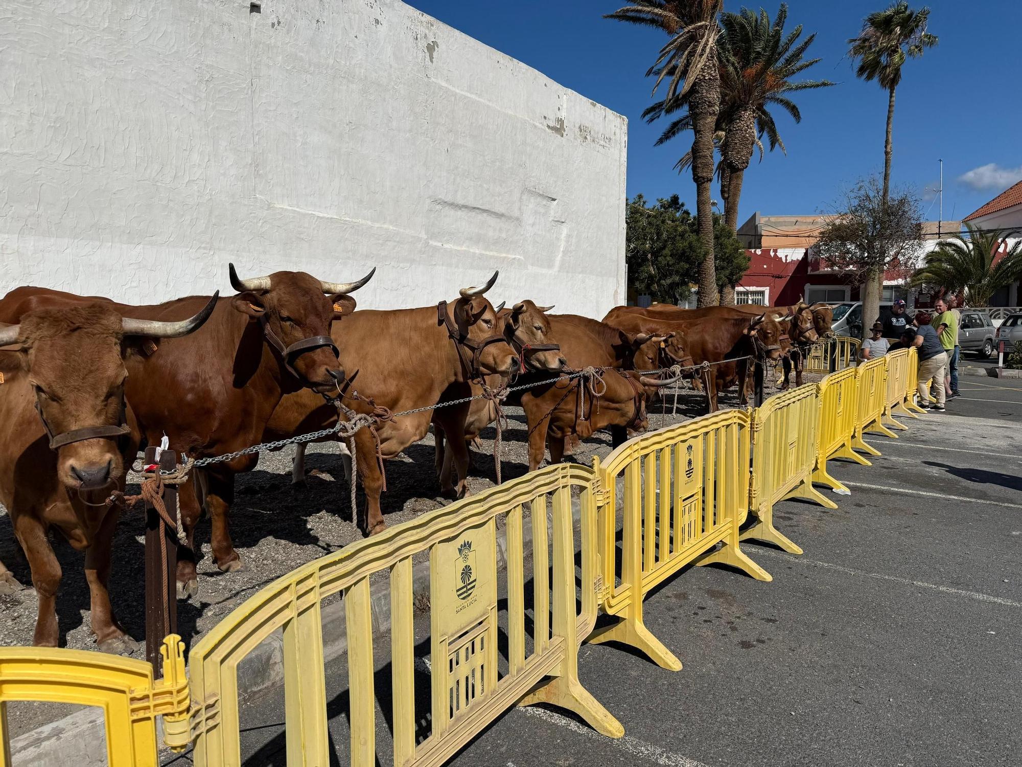 Día grande de las fiestas de San Isidro en Sardina