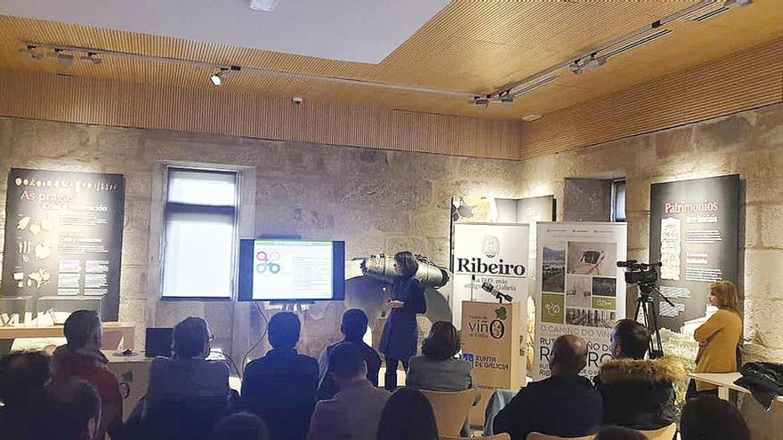 Presentación de la nueva estrategia en el Museo del Vino. // D.O. Ribeiro