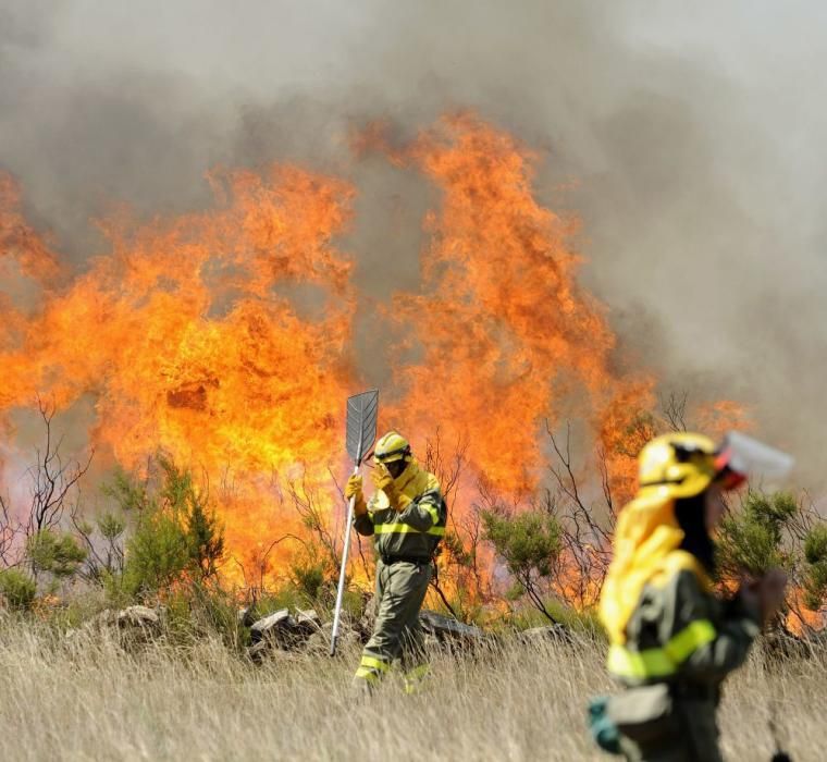 Las imágenes del incendio de Rodeira. // Bernabé | Javier Lalín