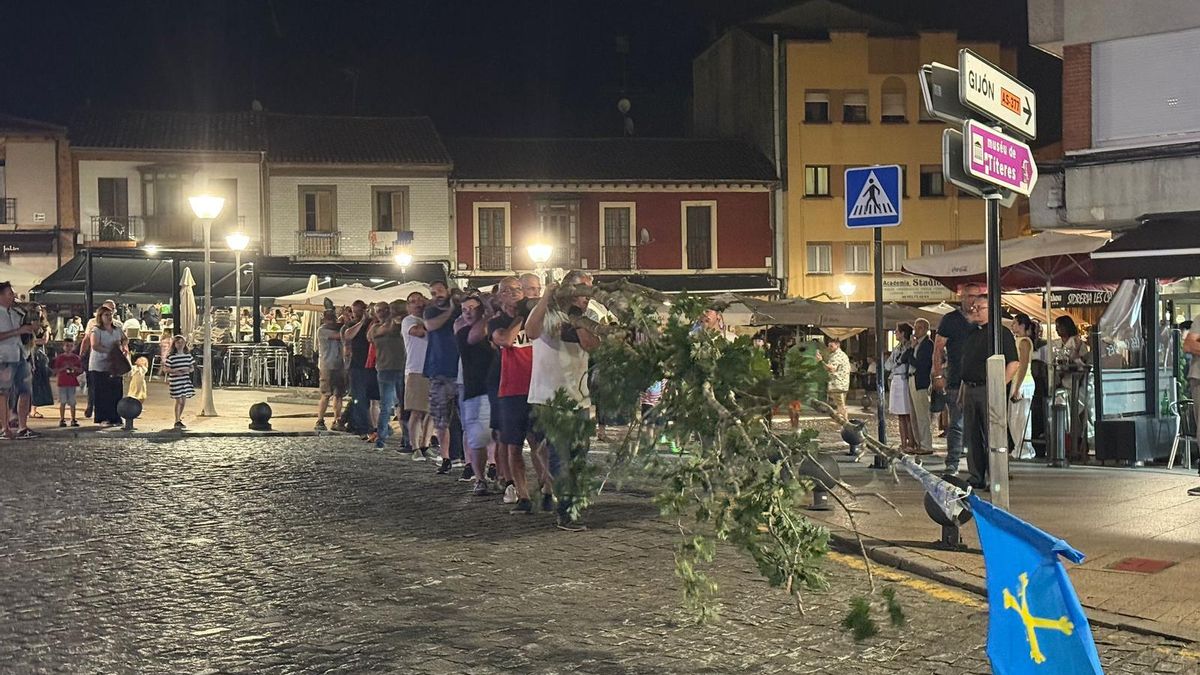 VÍDEO: La Pola revive la tradición del roble de los casaos por San Pedro