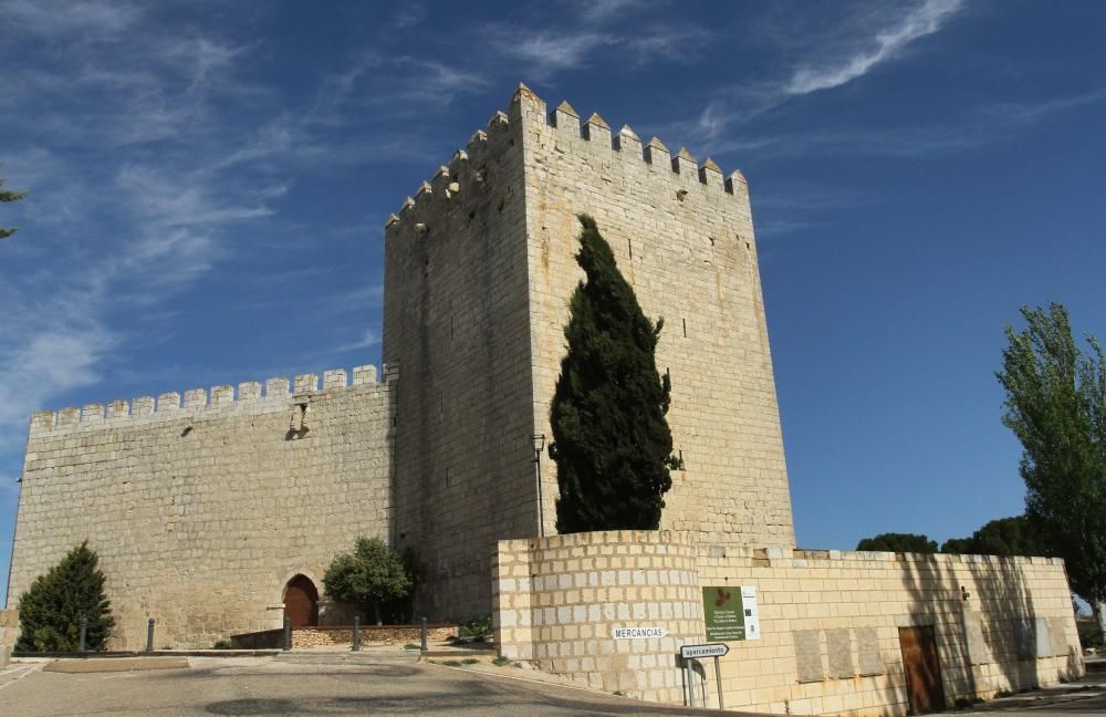 Castillos de Palencia