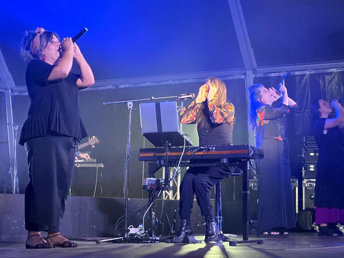 Concerto de Guadi Galego no parque do Ameneiral de Bertamiráns