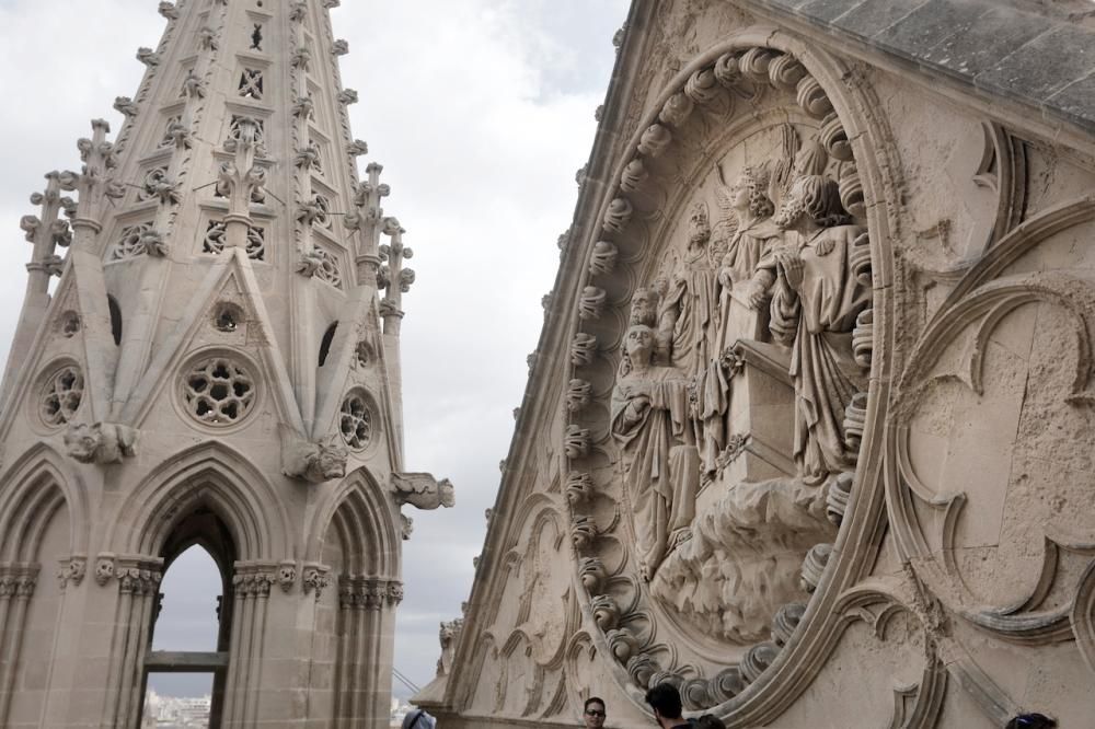 Visita guiada a las terrazas de la Seu