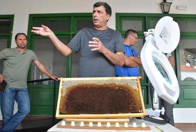 CURSO CRIAS ABEJAS REINA