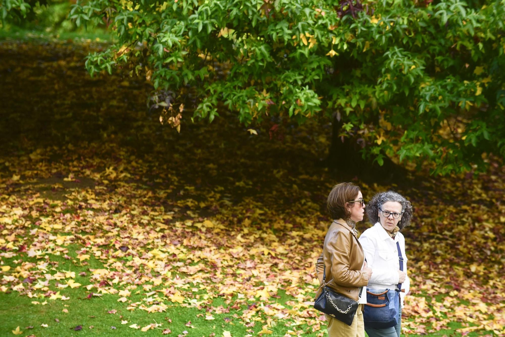 El parque de Vioño: la estampa perfecta del otoño en A Coruña