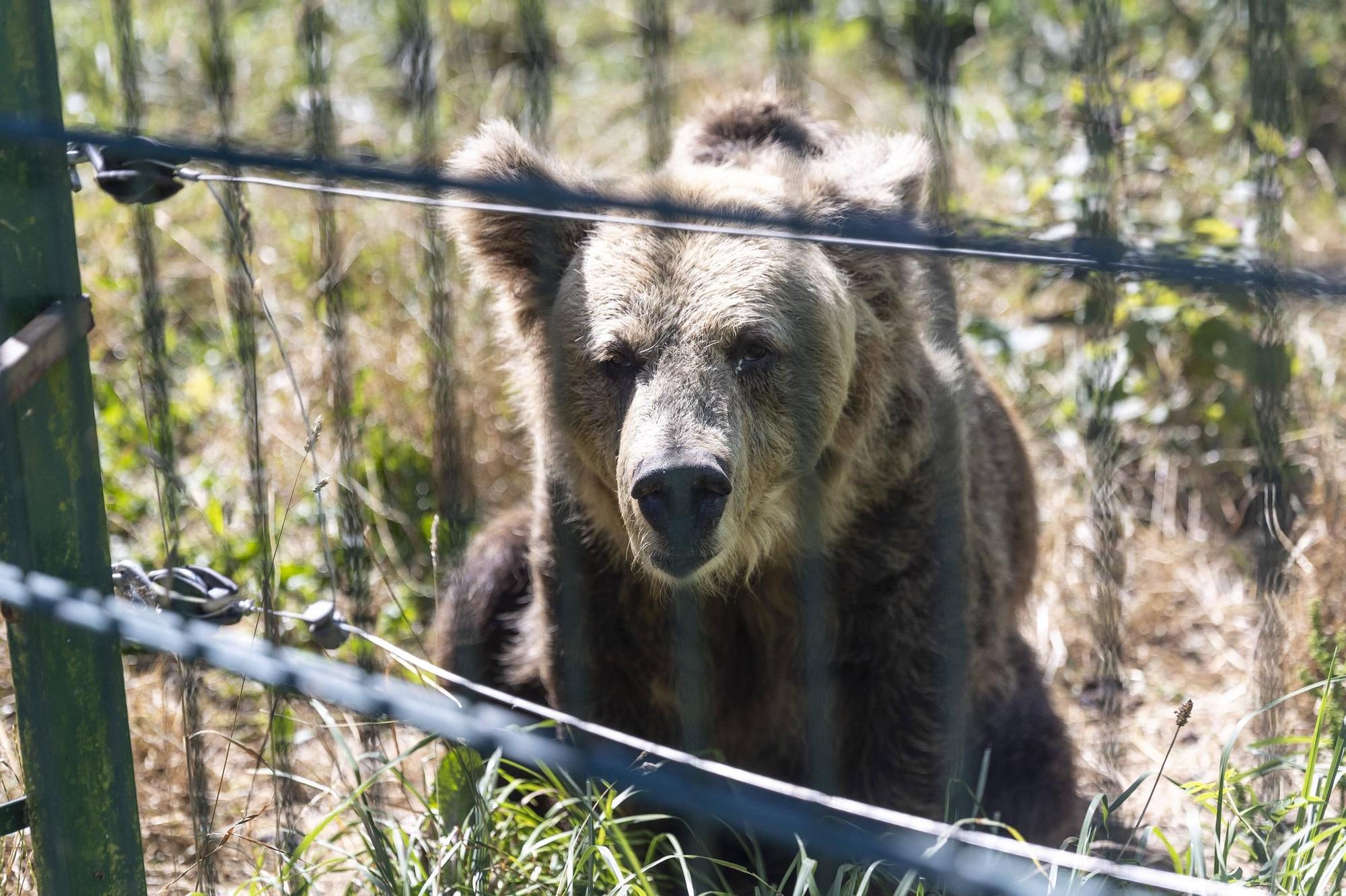 230726LNE_MIKI LOPEZ (178886693).jpg