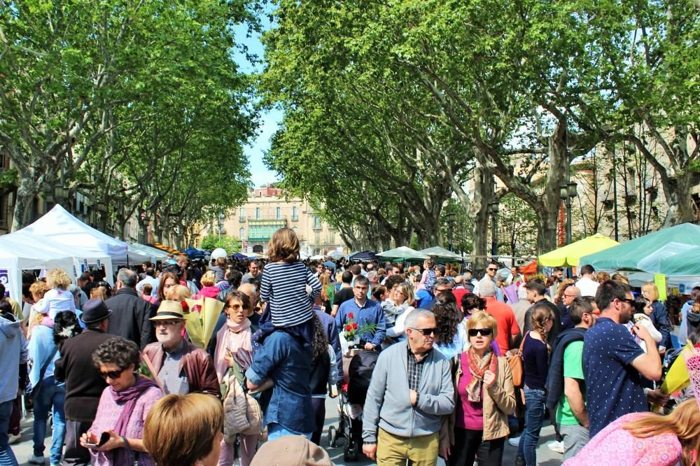 Sant Jordi 2016