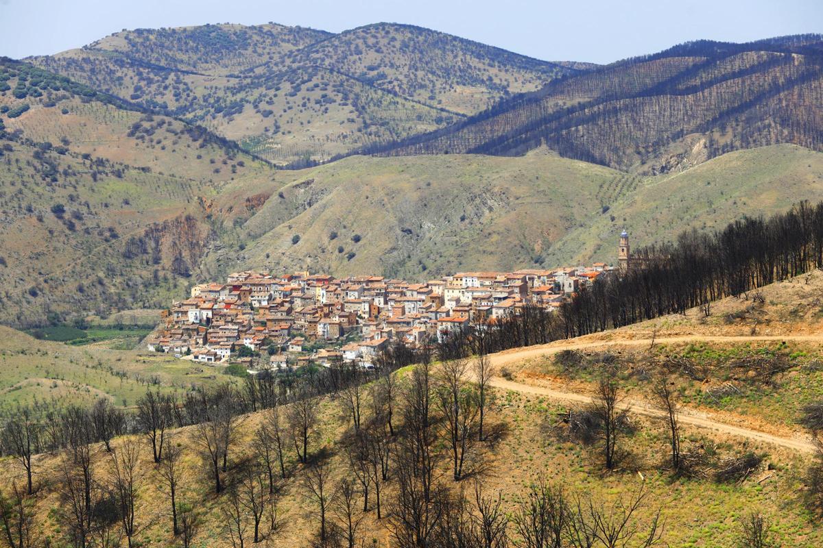 En imágenes | Así está Ateca un año después del incendio forestal que afectó a 14.000 hectáreas En imágenes | Así está Ateca un año después del incendio forestal que afectó a 14.000 hectáreas
