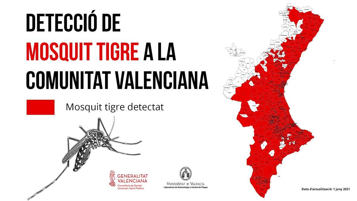 Imagen de archivo de las tareas para erradicar el mosquito tigre en la Comunitat Valenciana