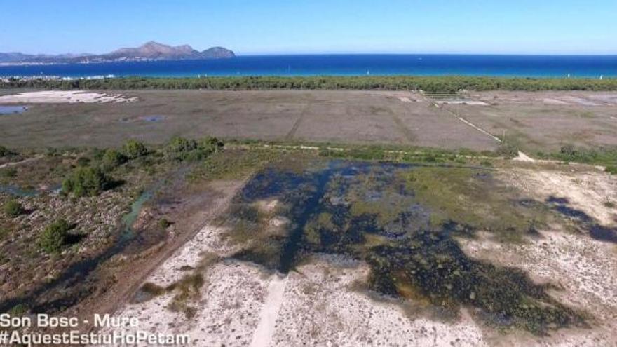 Abwasserleck im Feuchtgebiet s&#039;Albufera gestopft