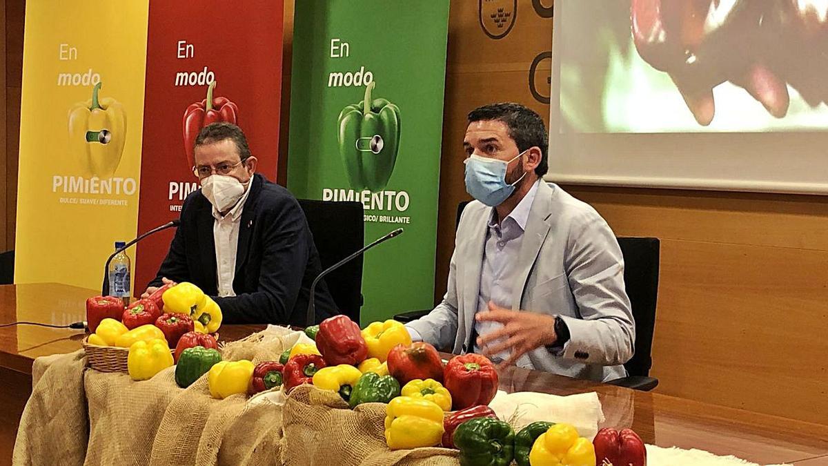 Antonio Luengo, durante la presentación de la campaña ‘En modo pimiento’.