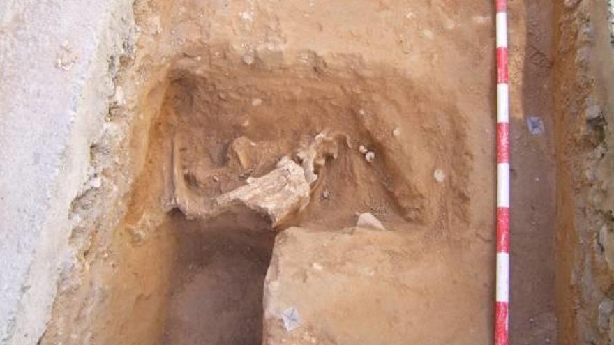 Unas obras sacan a la luz cuatro enterramientos musulmanes en Aspe