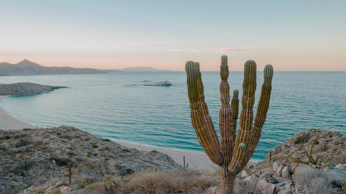 Playa El Saltito (México)