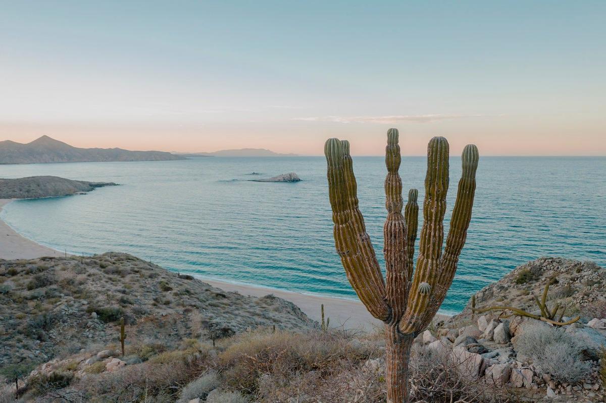 Playa El Saltito (México)