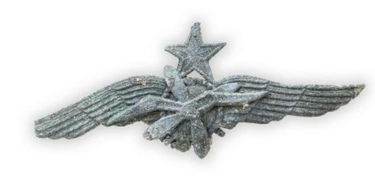 Insignia soviética que llevaba el piloto enterrado en el cementerio.