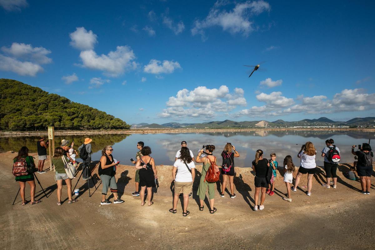 Galería: Así es una visita guiada al Parc Natural de ses Salines