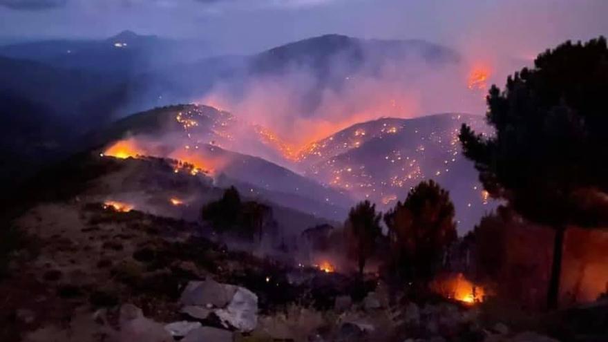 Incendio forestal en Jubrique