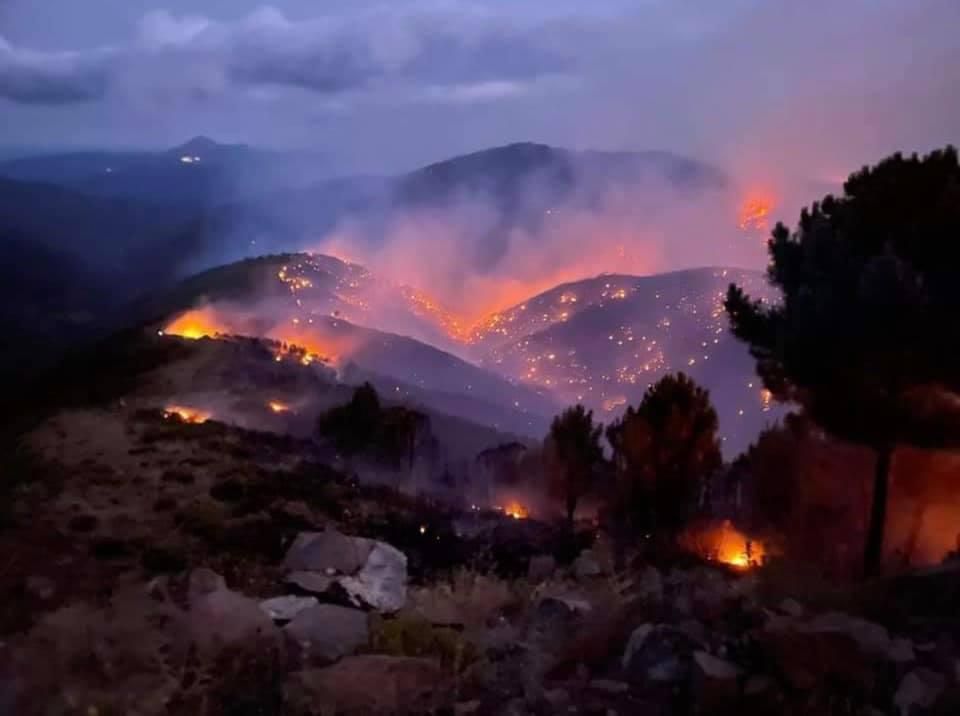 Incendio forestal en el paraje de Peña Blanca de Jubrique