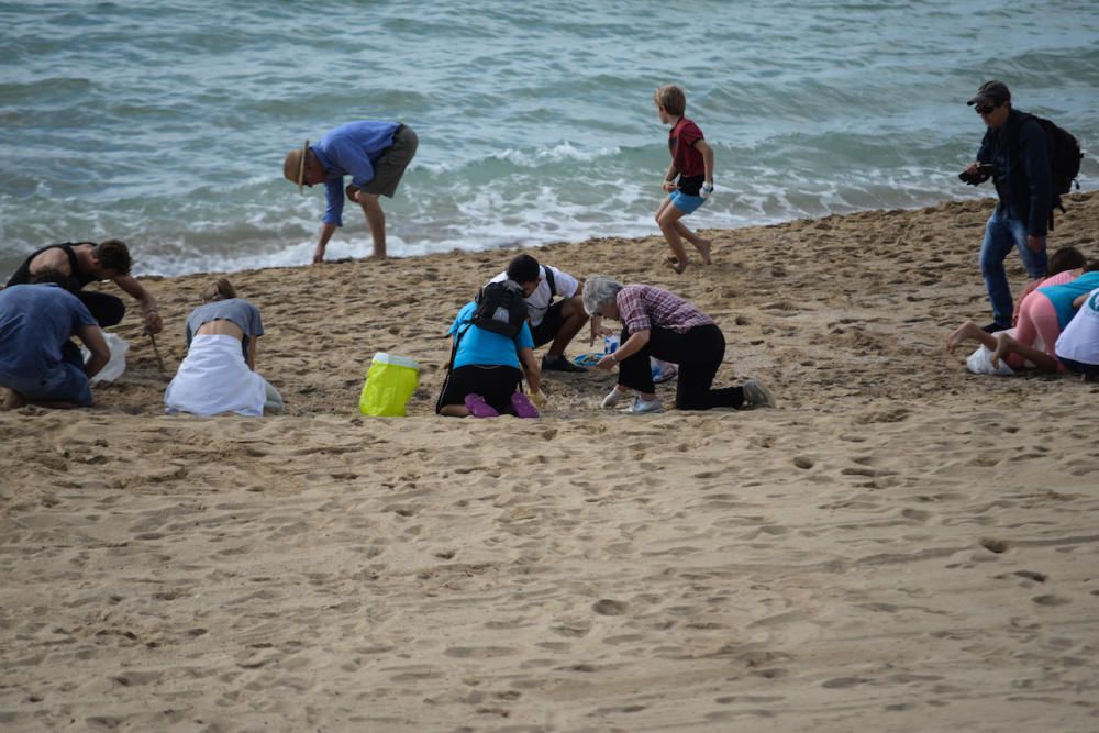 Cadena humana por una Bahía de Palma limpia y sin fecales