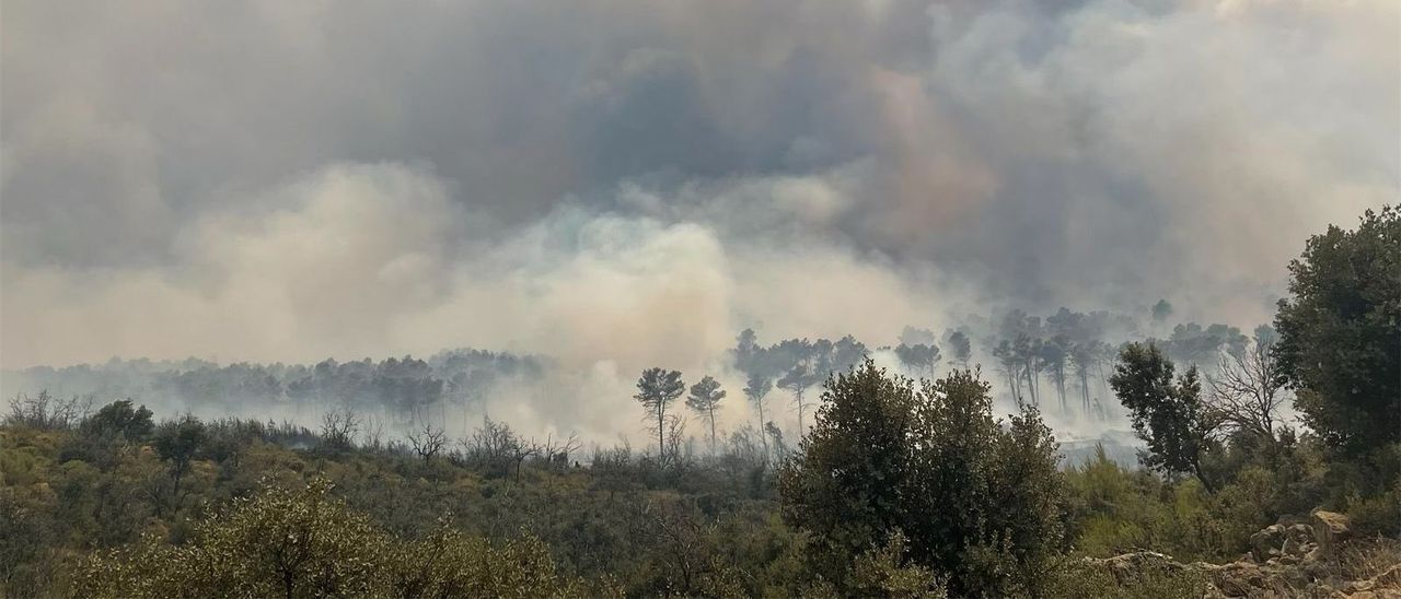 El incendio de Bejís, en imágenes