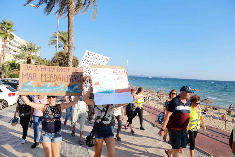 Demo für saubere Strände in Palma de Mallorca