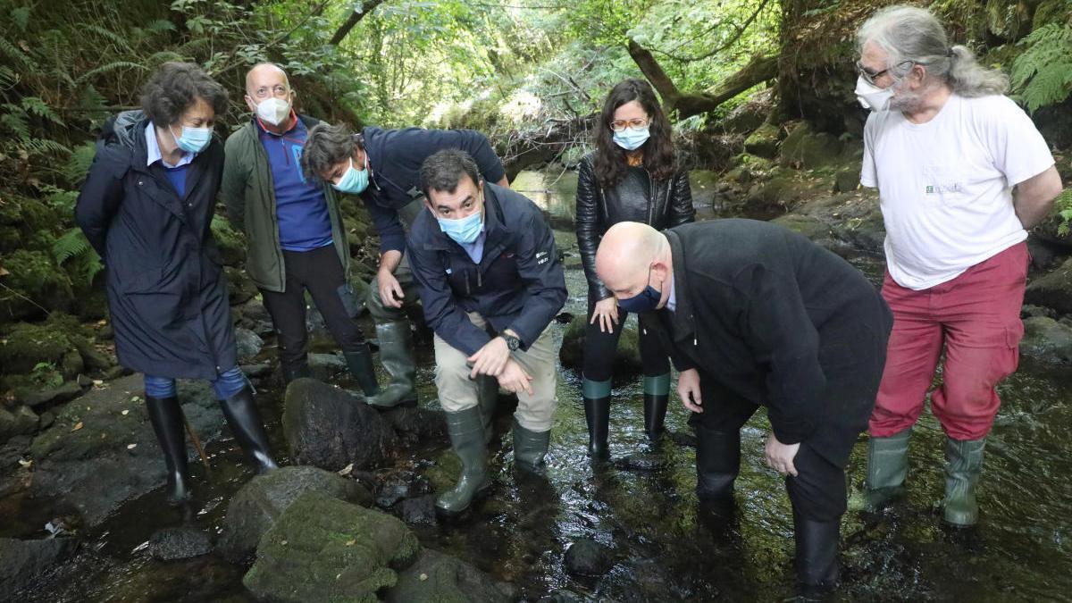 Imagen de la visita de esta mañana al río Sar para localizar la talla hallada por el estradense Fernando Brey. // Xoán Álvarez