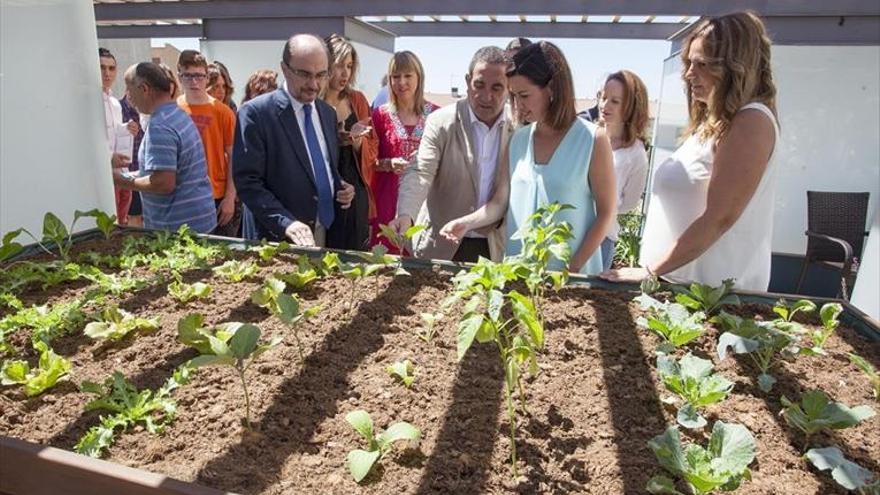 El proyecto Alzheimer inicia su segunda fase