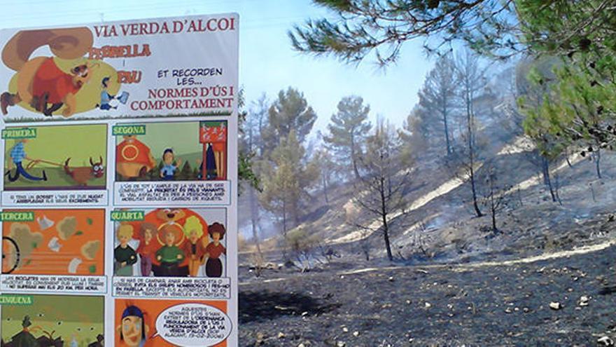 Controlado y sin llamas el incendio forestal de Alcoy