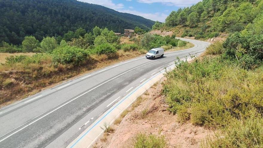 Cau un pi damunt d'una línia de baixa tensió al terme de Fonollosa
