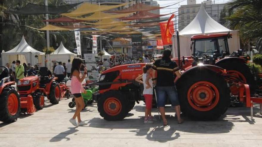 Elche se vuelca este fin de semana con el campo