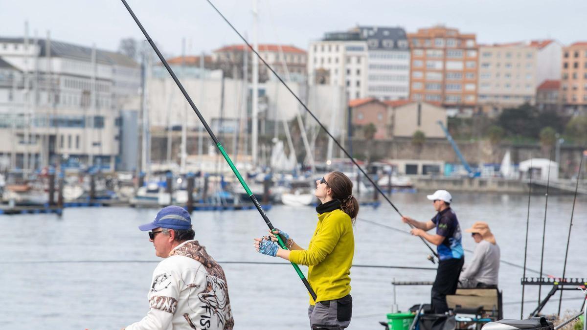 Los encantadores marinos de A Coruña: "La clave es atraer los peces"