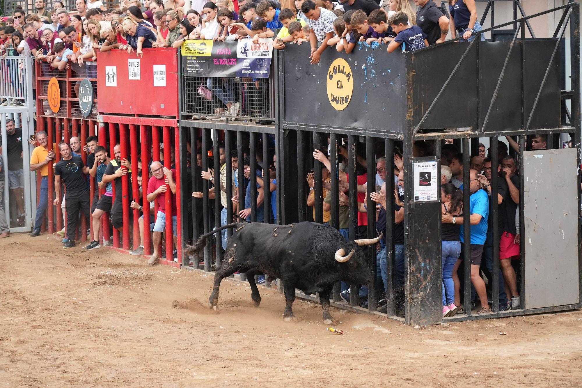 Las fotos de la tarde taurina del lunes de fiestas del Roser en Almassora