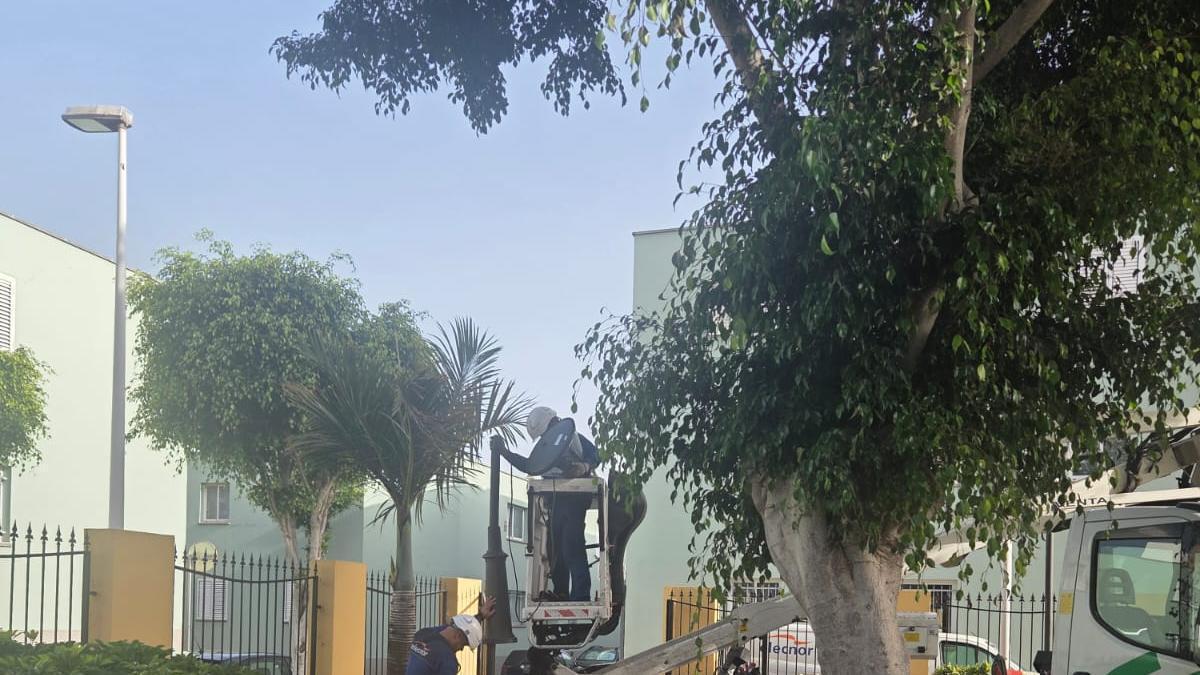 Renovación del alumbrado en las plazas de Telde.