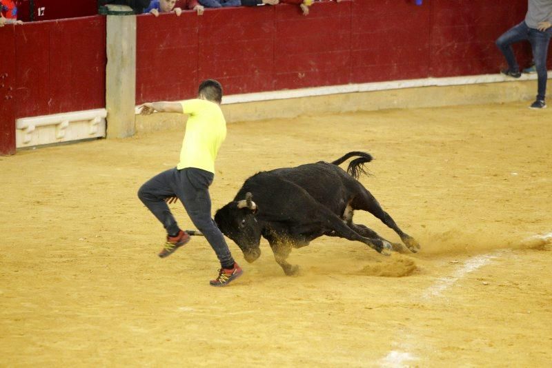 Vaquillas del 9 de octubre