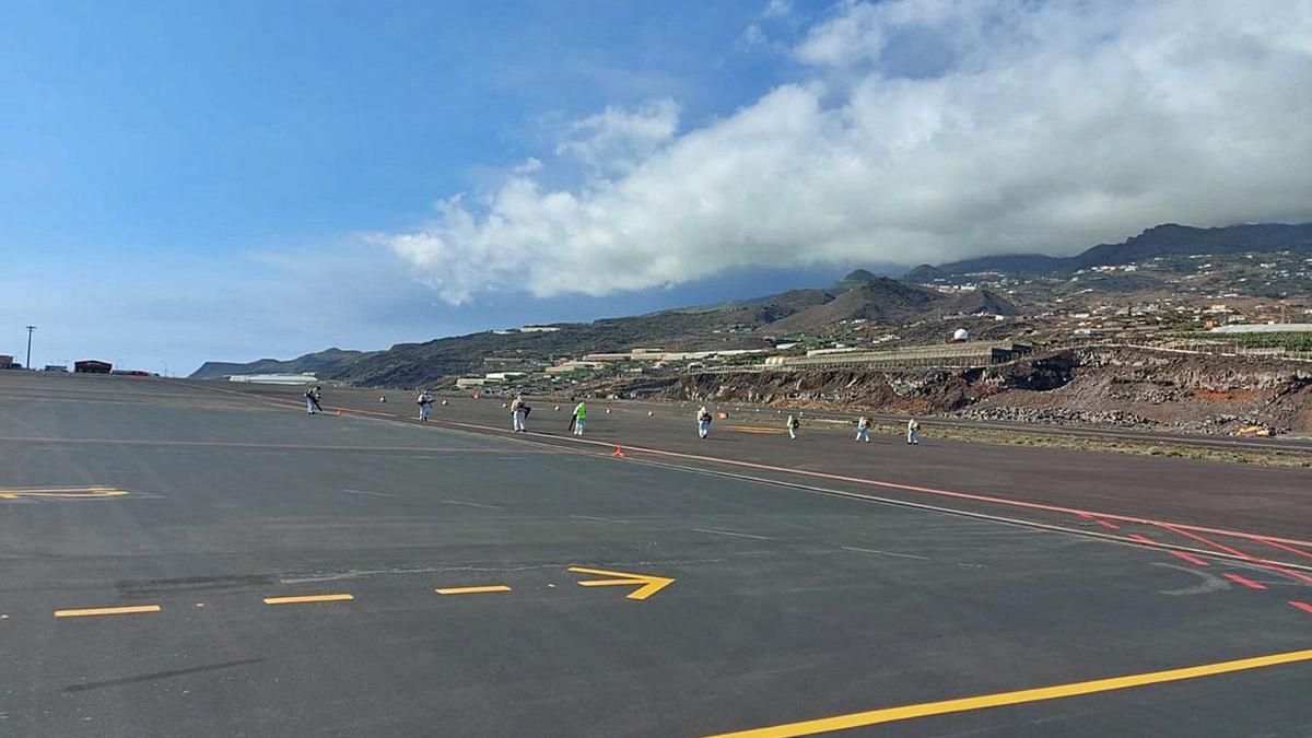 Operarios limpian una zona no operativa del aeropuerto palmero.