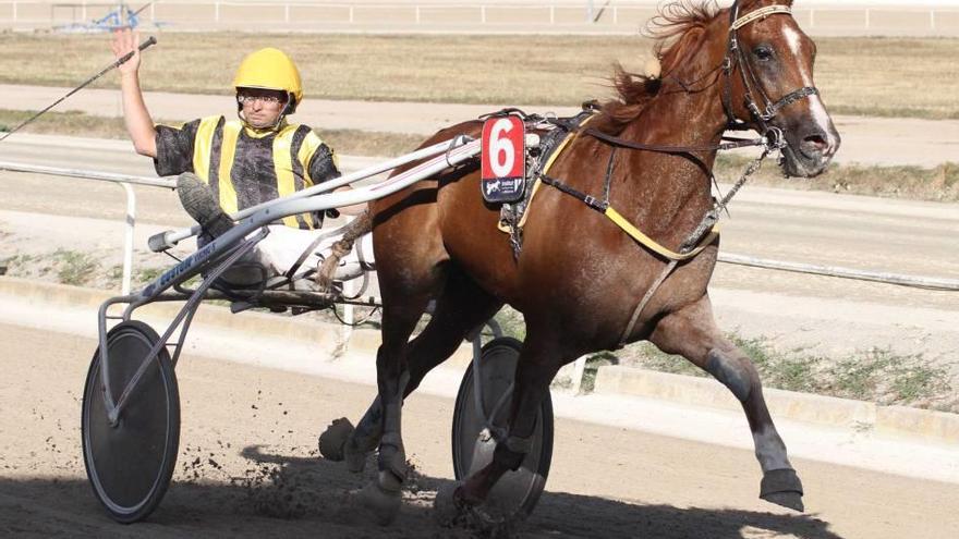 Tomado du Saphir y Ritz du Bocage vencen en Manacor