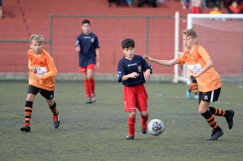 Alevines: Telde - Las Huesas