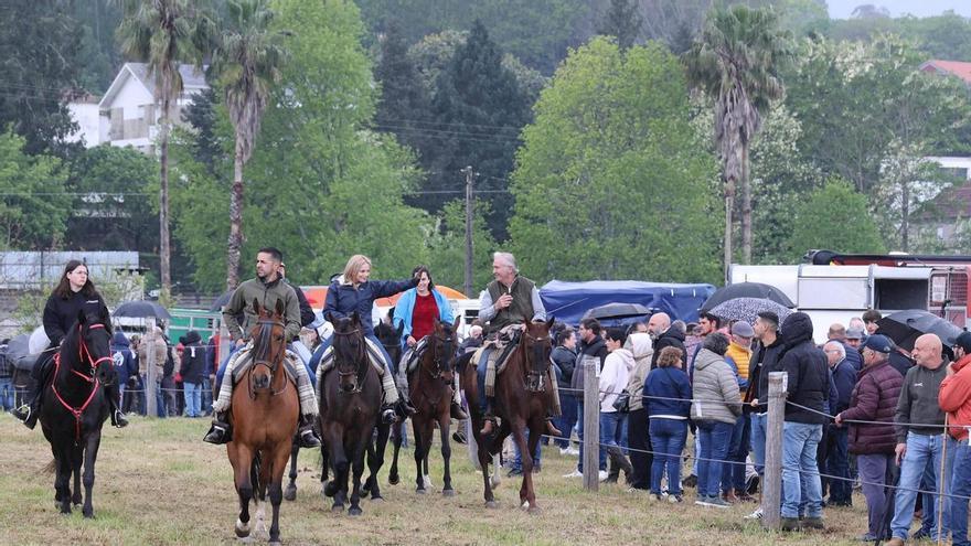 Miles de personas despiden a caballo y en la Catedral de Tui el San Telmo más inusual