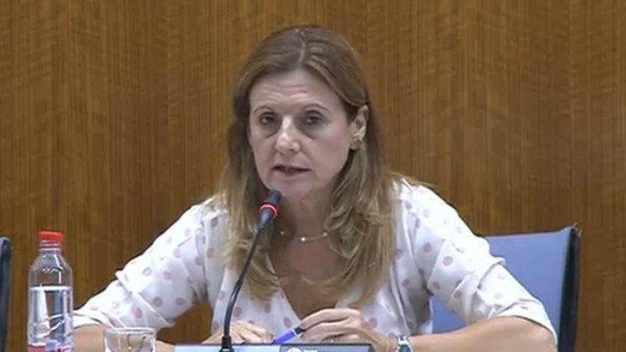 Marina Álvarez, consejera de Sanidad.