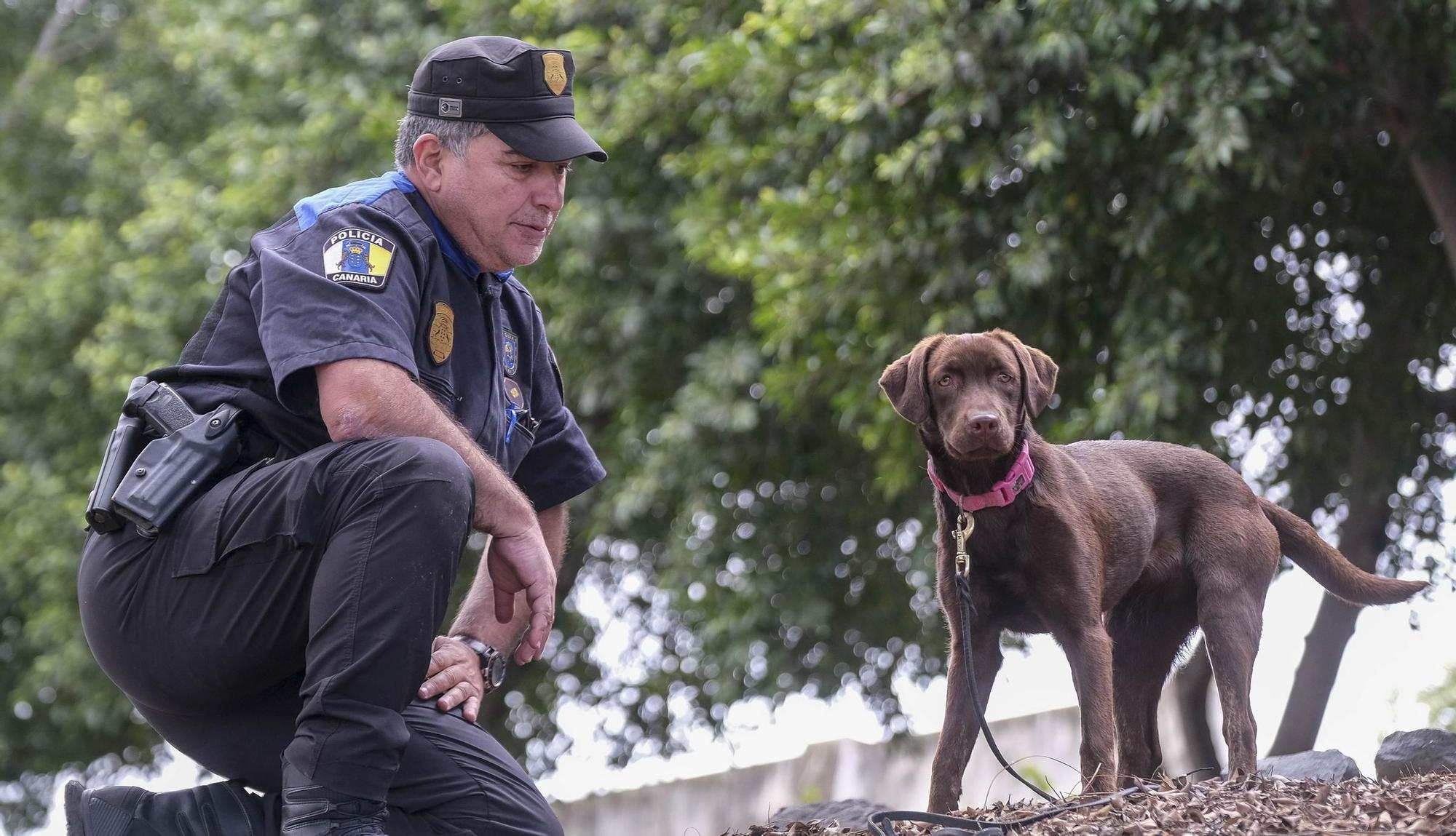 Nika, la perra-policía del CEMELPA