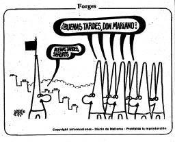 Forges en Diario de Mallorca