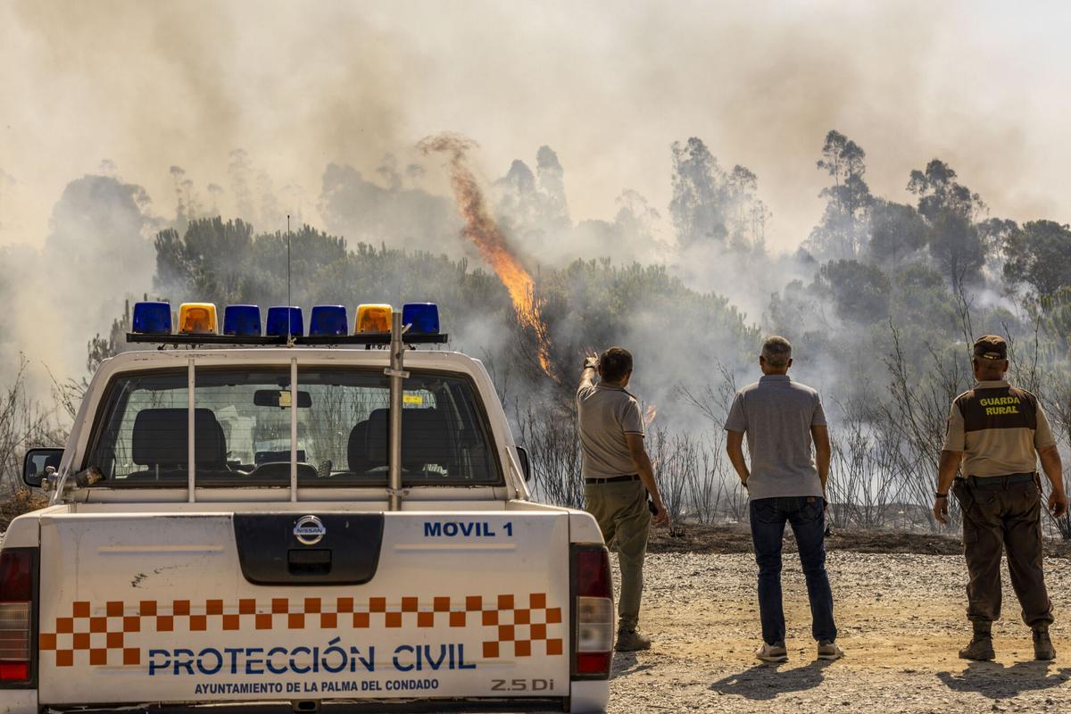 Flames are seen near Corumbel reservoir near Niebla, in Huelva, South Spain, 12 August 2026, The fie is generating a dense plume of smoke over local roads. The Infoca Plan has mobilized several aerial units as well as ground crew to fight the fire—which broke out 06 August in Niebla and remains active—after it has already affected approximately 25,000 hectares. EFE/ Fermin Cabanillas
